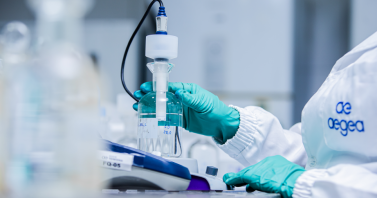 Monitoramento contínuo atesta qualidade da água distribuída em Timon 